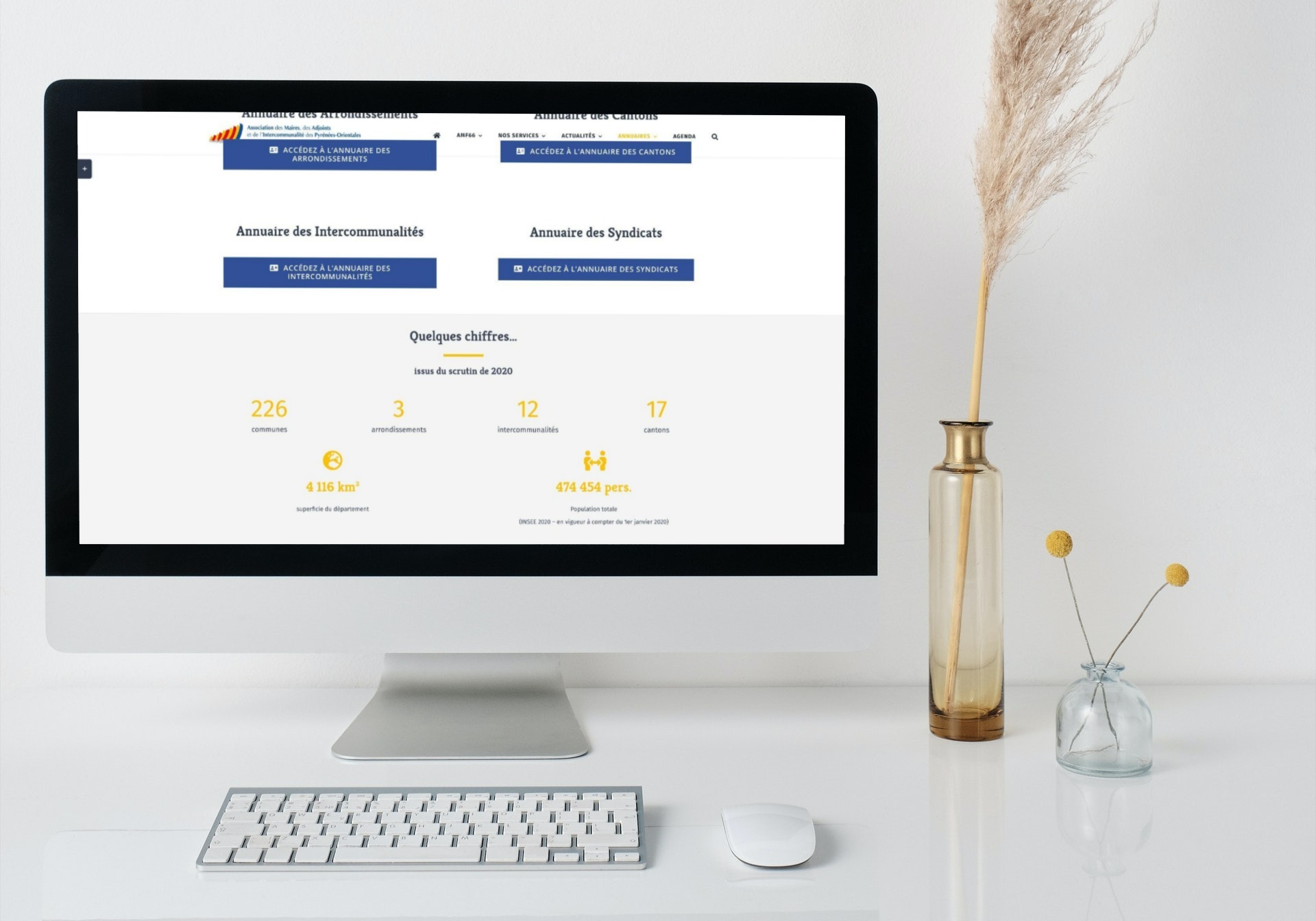 AMF66 Website 2