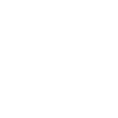 logo identity