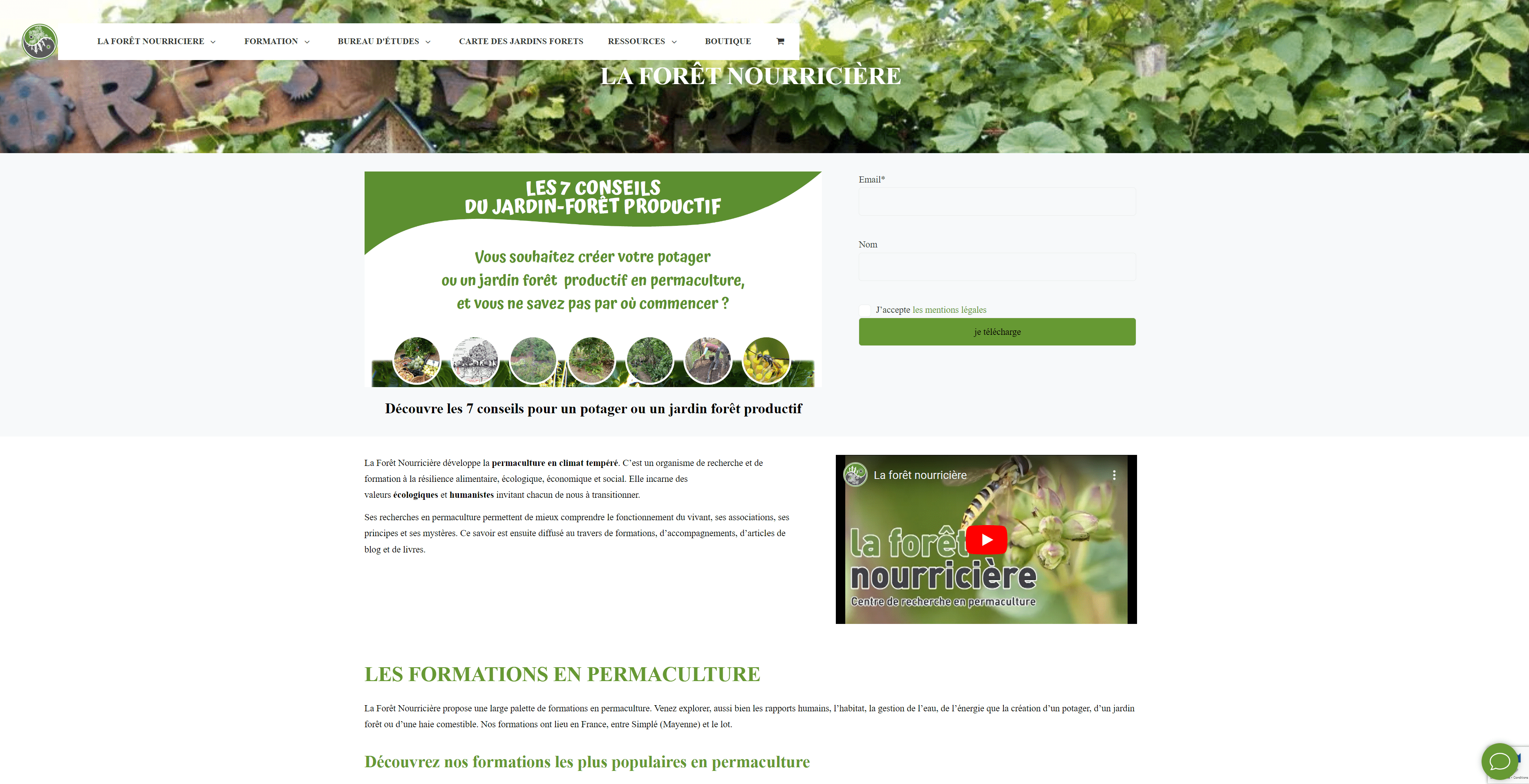LFN ancien site